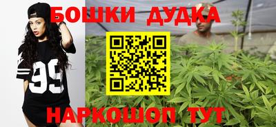 прущие грибы Севастополь